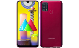 Samsung Galaxy M31, Galaxy F41