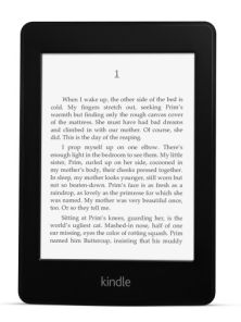 Amazon Kindle Paperwhite 300dpi (2015) (New)